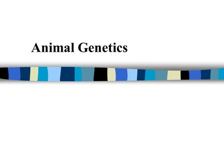 Animal Genetics. Natural Selection n an organisms ability to SURVIVE and pass on its GENETIC information to its offspring.