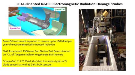 FCAL-Oriented R&D I: Electromagnetic Radiation Damage Studies BeamCal instrument expected to receive up to 100 Mrad per year of electromagnetically-induced.