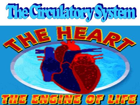 The circulatory system is the body system that transports Nutrients, OXYGEN & CELLULAR WASTE throughout the body.