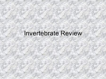 Invertebrate Review.