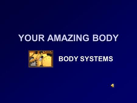 YOUR AMAZING BODY BODY SYSTEMS SYSTEMS OF THE BODY The human body, like the bodies of all animals, is made up of systems. Each system is made up of organs.
