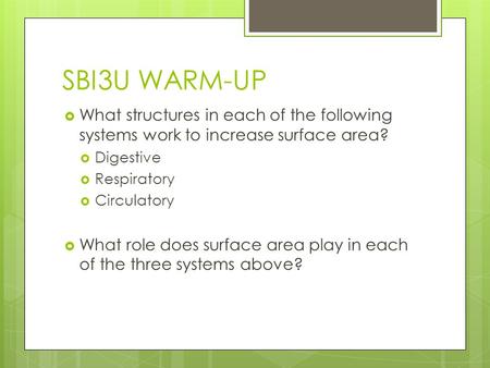 SBI3U WARM-UP  What structures in each of the following systems work to increase surface area?  Digestive  Respiratory  Circulatory  What role does.