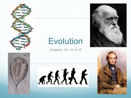 Evolution Chapters 13, 14, & 15. Earth has millions of other kinds of organisms of every imaginable shape, size, and habitat. The variety of living things.