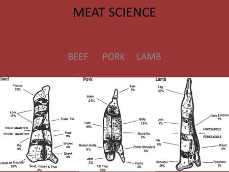 MEAT SCIENCE BEEFPORKLAMB. BEEF CARCASS ROUND ROUND STEAK/BNLS EYE ROUND STEAK/ROAST BOTTOM ROUND STEAK/ROAST TOP ROUND STEAK/ROAST TIP STEAK/ ROAST/CAP.