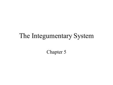 The Integumentary System Chapter 5. The Integumentary System Composed of the skin, sweat and oil glands, hair, and nails. Accounts for 7% of the body’s.