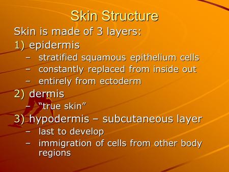 Skin Structure Skin is made of 3 layers: 1)epidermis –stratified squamous epithelium cells –constantly replaced from inside out –entirely from ectoderm.