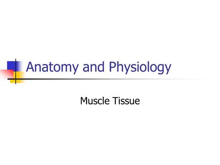 Anatomy and Physiology Muscle Tissue. Muscle in the human body There are 3 types of muscle tissue in the human body. Skeletal muscle is attached by tendons.