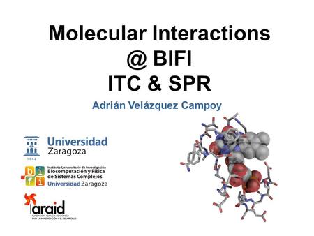 Molecular BIFI ITC & SPR Adrián Velázquez Campoy.
