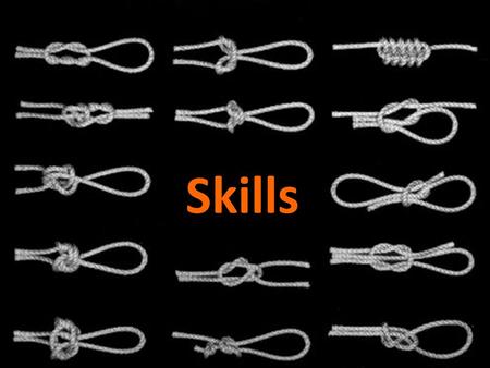 Skills. PLT Competencies 2 PLT Professional Skills 3.