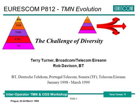 Terry Turner, TI Inter-Operator TMN & OSS Workshop Prague, 23-24 March 1999 Slide 1 The Challenge of Diversity Terry Turner, Broadcom/Telecom Eireann.