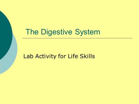 Lab Activity for Life Skills