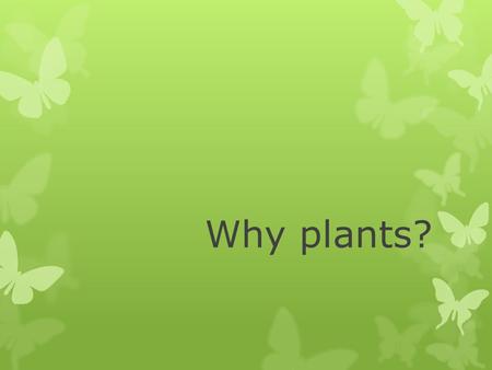 Why plants?. Why are plants important? Plants make oxygen. One of the materials that plants produce as they make food is oxygen gas. This oxygen gas,