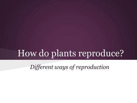 How do plants reproduce?