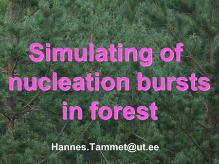 Simulating of nucleation bursts in forest