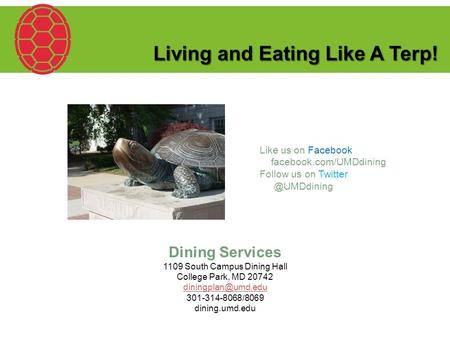Living and Eating Like A Terp! Dining Services 1109 South Campus Dining Hall College Park, MD 20742 301-314-8068/8069 dining.umd.edu.