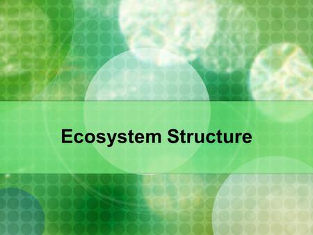 Ecosystem Structure.