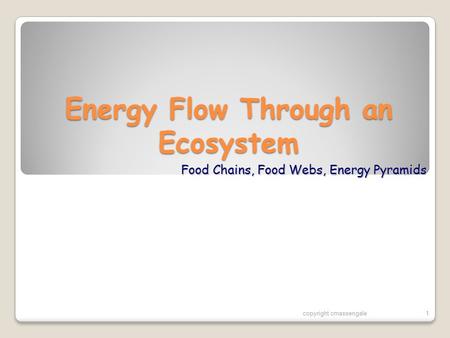 Energy Flow Through an Ecosystem Food Chains, Food Webs, Energy Pyramids copyright cmassengale1.