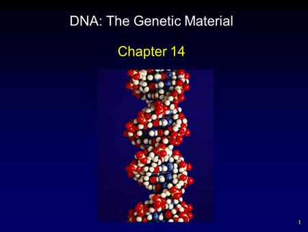 1 DNA: The Genetic Material Chapter 14. 2 CH 14 Outline Chemical Nature of Nucleic Acids Three-Dimensional Structure of DNA – Watson and Crick Replication.