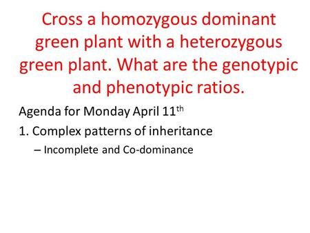 Cross a homozygous dominant green plant with a heterozygous green plant. What are the genotypic and phenotypic ratios. Agenda for Monday April 11 th 1.