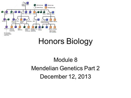 Honors Biology Module 8 Mendelian Genetics Part 2 December 12, 2013.