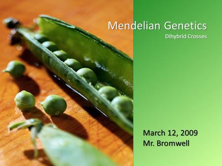 April 2008 Mendelian Genetics Dihybrid Crosses March 12, 2009 Mr. Bromwell.