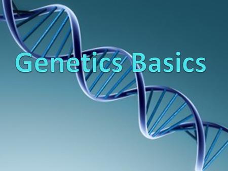 When we study genetics, we examine the following genetic entities (from most complex to least complex) Chromosome: A long, continuous thread of DNA that.