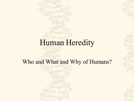 Human Heredity Who and What and Why of Humans? New Flash…….. It has been discovered that having a glowing “red nose” is a recessive sex-linked trait.