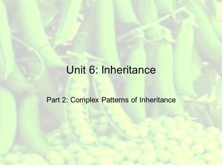 Unit 6: Inheritance Part 2: Complex Patterns of Inheritance.