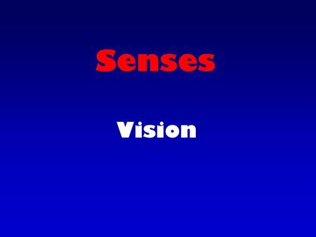 Senses Vision. V I S I O N 70% of all receptors in the body are in the eye.