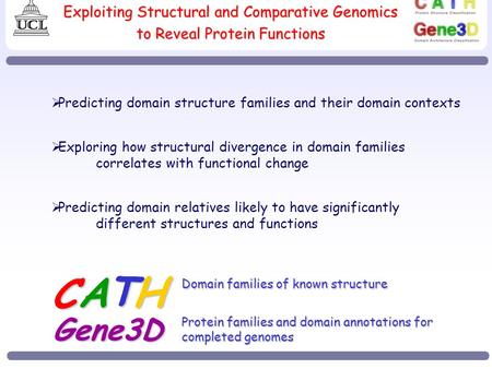 Exploiting Structural and Comparative Genomics to Reveal Protein Functions  Predicting domain structure families and their domain contexts  Exploring.