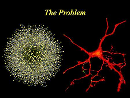 The Problem. The Virtual Cell Project Rashad Badrawi John Carson Yung-Sze Choi Ann Cowan Fei Gao Susan Krueger Anu Lakshminarayana Daniel Lucio Frank.