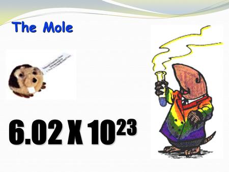 The Mole 6.02 X 10 23. STOICHIOMETRYSTOICHIOMETRY - the study of the quantitative aspects of chemical reactions.