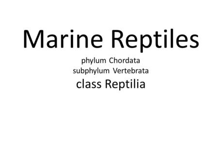 Marine Reptiles phylum Chordata subphylum Vertebrata class Reptilia.
