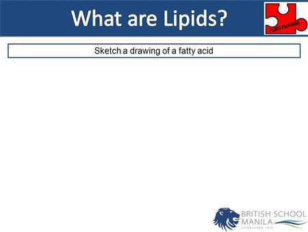Sketch a drawing of a fatty acid. Outcomes 3: Identify from the structures a range of biological molecules. 5: Explain the function of a range of biological.