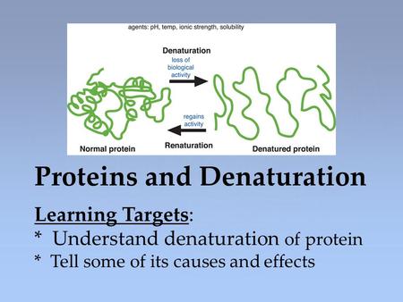 Proteins and Denaturation Learning Targets: