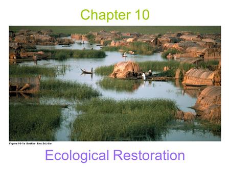 Chapter 10 Ecological Restoration. The Balance of Nature –An environmental myth that states that the natural environment, when not influenced by human.