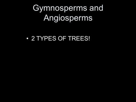 Gymnosperms and Angiosperms 2 TYPES OF TREES!. Intro to Gymnosperms.