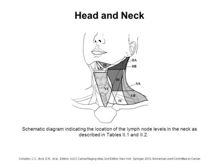 Head and Neck Schematic diagram indicating the location of the lymph node levels in the neck as described in Tables II.1 and II.2. Compton, C.C., Byrd,