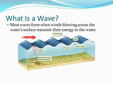 What Is a Wave? Most waves form when winds blowing across the water’s surface transmit their energy to the water. - Wave Action.