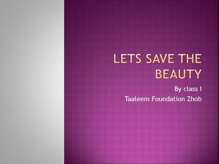 By class I Taaleem Foundation Zhob