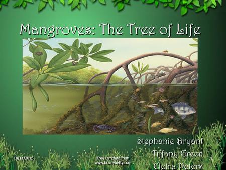 Mangroves: The Tree of Life