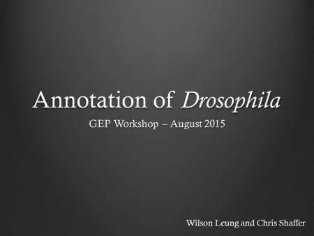 Annotation of Drosophila GEP Workshop – August 2015 Wilson Leung and Chris Shaffer.
