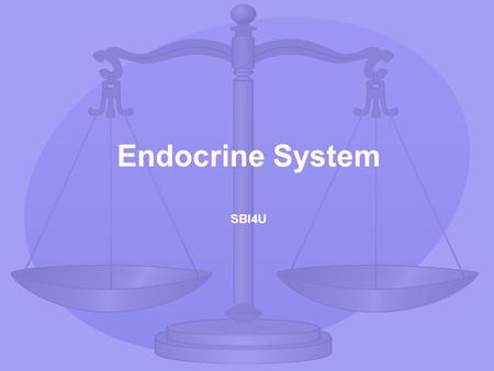 Endocrine System SBI4U. Endocrine System Regulation of Body Temperature Regulation of Body’s H 2 O Content Regulation of Serum Glucose Levels Regulation.