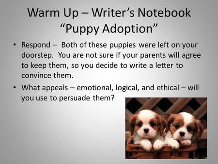 Warm Up – Writer’s Notebook “Puppy Adoption” Respond – Both of these puppies were left on your doorstep. You are not sure if your parents will agree to.