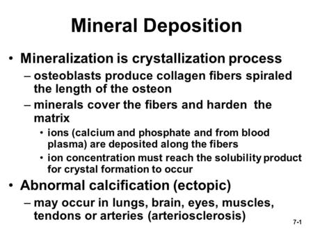 7-1 Mineral Deposition Mineralization is crystallization process –osteoblasts produce collagen fibers spiraled the length of the osteon –minerals cover.