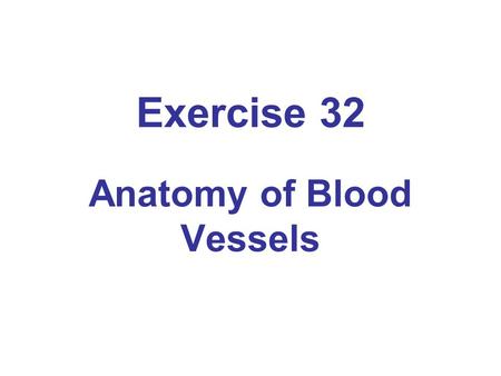 Anatomy of Blood Vessels
