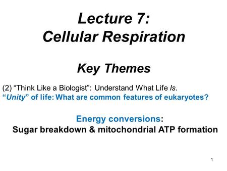 Key Themes (2) “Think Like a Biologist”: Understand What Life Is. “Unity” of life: What are common features of eukaryotes? Energy conversions: Sugar breakdown.