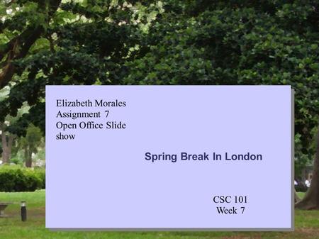Your Name Your Title Your Organization Line 1 Your Organization Line 2 Course Title Course Description Spring Break In London Elizabeth Morales Assignment.