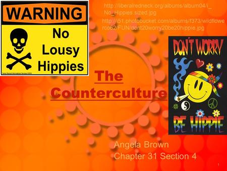 The Counterculture Angela Brown Chapter 31 Section 4  No_Hippies.sized.jpg