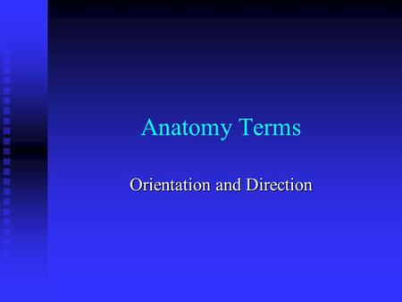 Anatomy Terms Orientation and Direction. Superior – towards head Superior – towards head Inferior (caudal) – towards the lower part of a body part Inferior.